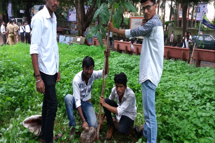 tree-plantation-3