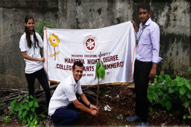 tree-plantation-4
