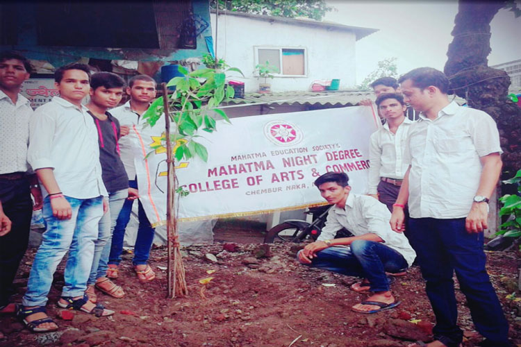 tree-plantation-6